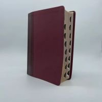 AP Defending/Faith Study Bible Indexed -Maroon